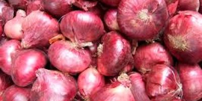 offers onion on a regular basis at a price