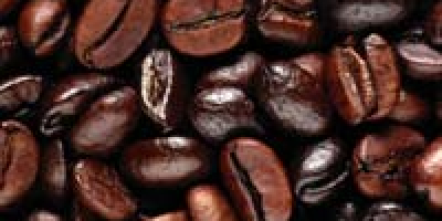Az általunk biztosított száraz kávébabok ízük és ízük miatt