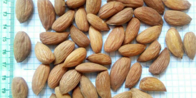 I will sell almonds for processing. There is a