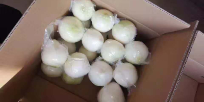 Chinese frozen onion block 10mm*10mm 10kg/box, Chinese peeled onion