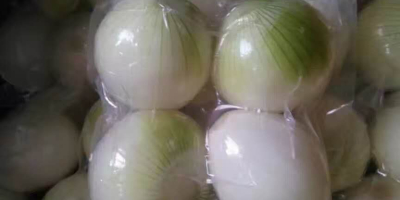 Chinese frozen onion block 10mm*10mm 10kg/box, Chinese peeled onion