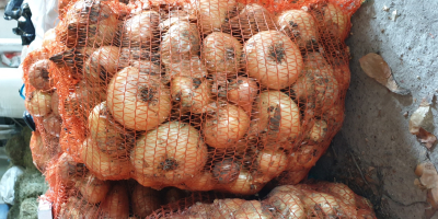 SC ANDRIPAN GEOCRIS SRL selling wholesale onions in 15kg