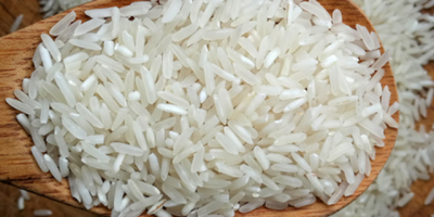 White rice is milled rice that has had its