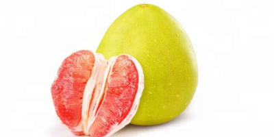 Suntem producător direct de pomelo, avem două baze de