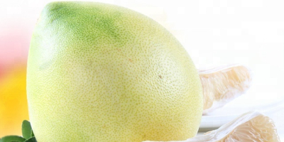 We are pomelo direct producer, we have two pomelo