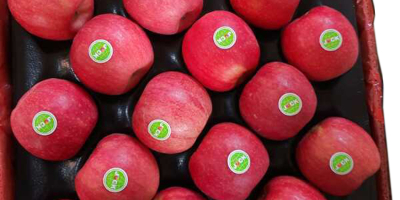 Црвена свјежа црвена свјежа Фуји јабука Доступна за опскрбу.