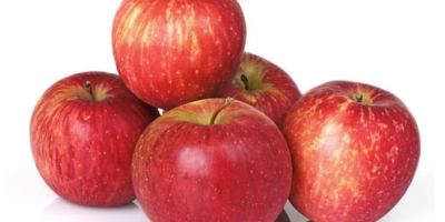 a company in Europe will buy organic apples of