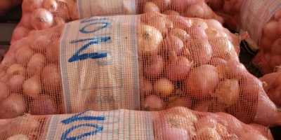Onion quality receives more information from us or you