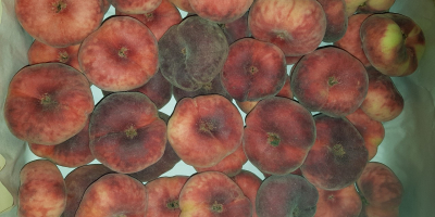I will sell paraguayo peach, imported, fresh, pretty, juicy.
