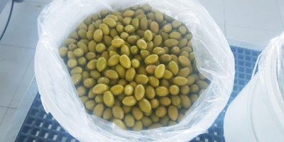 Hello, I have for sale various types of olives