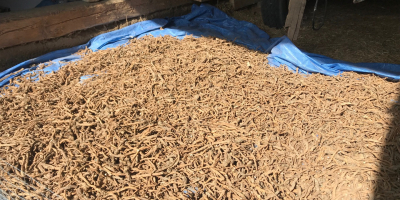 Hello, I have for sale 700 kg of dry