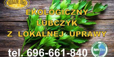 Organic, certified lovage cultivation. Possibility to send e-mail.