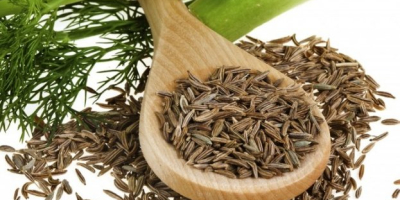 I sell dill seeds. I sell fennel seeds we