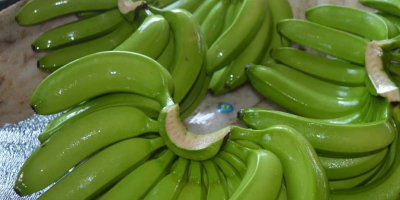 Üdvözlet! Kiváló minőségű banán áll rendelkezésre. Vegye fel velünk
