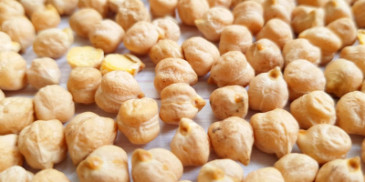 High quality chickpeas; Available grade 5-6 mm; Has a