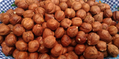 I warmly welcome. We import hazelnut from Georgia of
