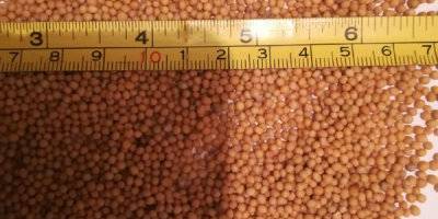 The company sells white mustard seeds of 500 tons.