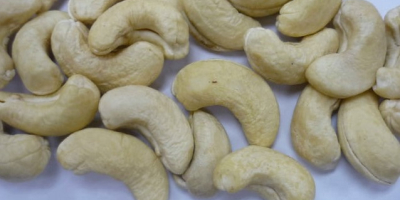 Specification of cashew nut: Product name: Cashew nut Class: