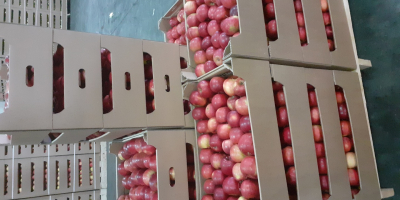 Предлагаме ябълки от различни сортове в насипни количества.