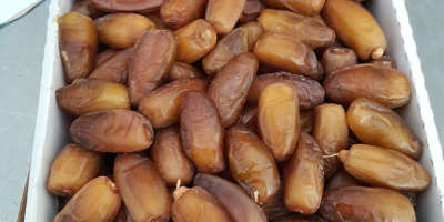 Our company is specialized in trading tunisian dates. We