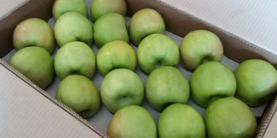 Granny Smiths mărimea mărimii 65+ calibrată și ambalată în