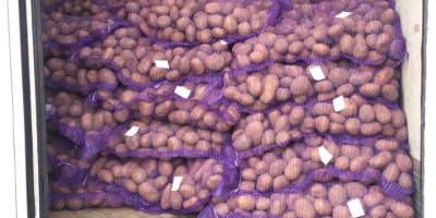 Der beste Preis für Kartoffeln auf dem Markt. 140