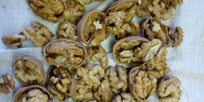 I have for sale walnuts from this year&#39;s harvest.
