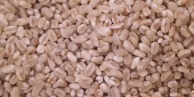 I will sell dehusked white wheat (on forged), 20