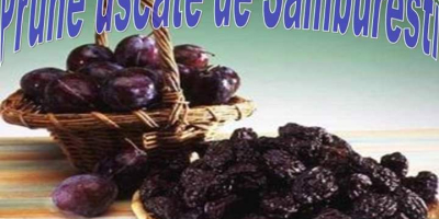 Agen (arjan) dry plum price 8 lei / kg.