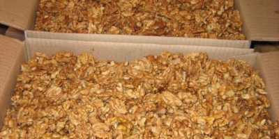 Excellent Purity Crunchy Walnuts and Kernels for Wholesale Purchase