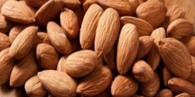 Almonds with Shell and Without Shell Product: Raw Organic