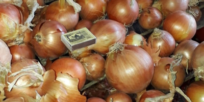 I offer onions produced in Belarus and Kazakhstan on