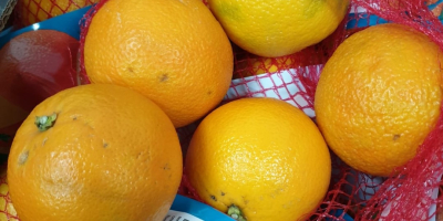 Orange net, net weight 1kg. Variety: SALUSTIANA Origin: SPAIN