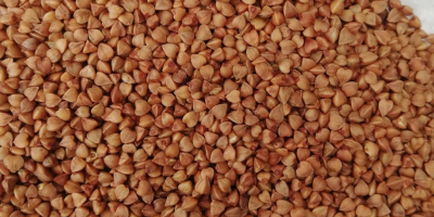 We sell buckwheat of excellent quality! In bags of
