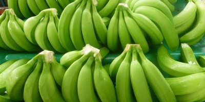 We are the leading exporter of Fresh Cavendish Banana,