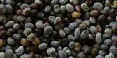 We are the leading exporter of poppy seed, please