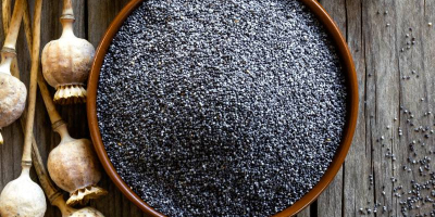 White and blue poppy seeds for sale. Large wholesale