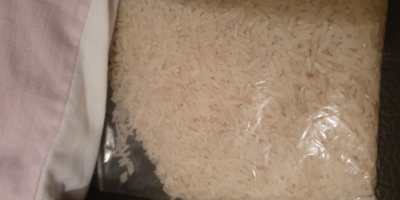Vindem orez de cereale lungi de înaltă calitate din