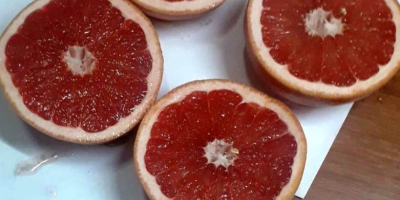 Grejpfruty Rio Czerwone owoce Cechy: Pochodzenie: Turcja Wielkość: duża
