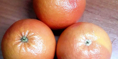 Rio Grapefruits Rote Früchte Eigenschaften: Herkunft: Truthahn Größe: groß