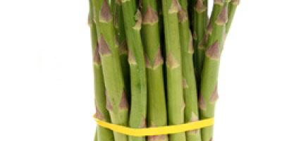 Sell asparagus in wholesale season 2020.