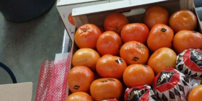 Мандарины Clementines Origin Morocco Калибр: 1/2/3/4/5 Вложен: деревянный ящик