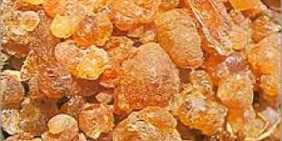 Gum Arabic, is a complex mixture of glycoproteins and