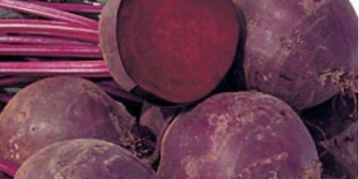 I will sell beets for export, harvest 2019. We