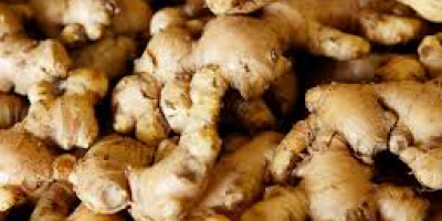 Nigerian ginger has huge export potential and is thus
