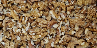 Organic walnut kernel - 10 € / Kg