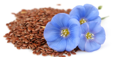 Good day. We sell flax for export to Europe.