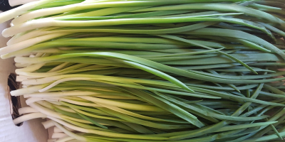 I will sell chives in foil.