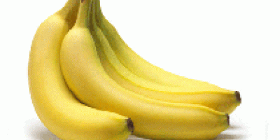 Mi vagyunk a legfontosabb friss banán exportőr és beszállító