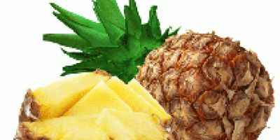 Pineapple Hardcore Corporation ist der einzige Name, der von